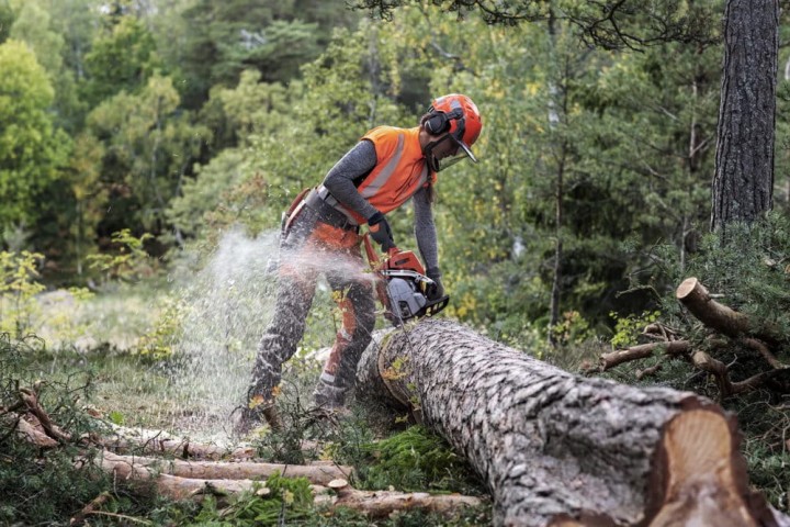 Pilarka Husqvarna 550 XP Mark II profesjonalna