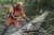 Pilarka Husqvarna 550 XP Mark II profesjonalna
