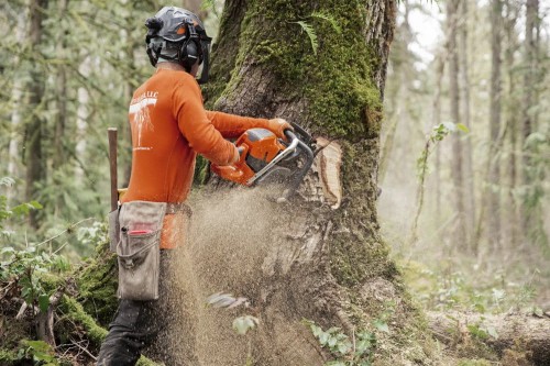 Pilarka Husqvarna 592 XP profesjonalna