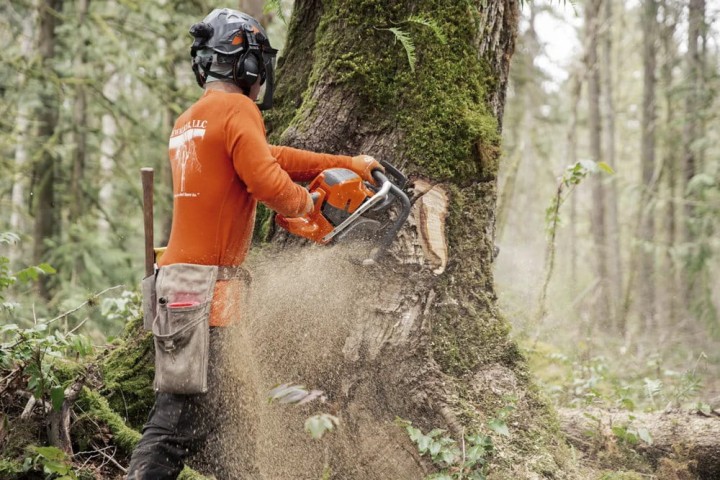 Pilarka Husqvarna 592 XP profesjonalna