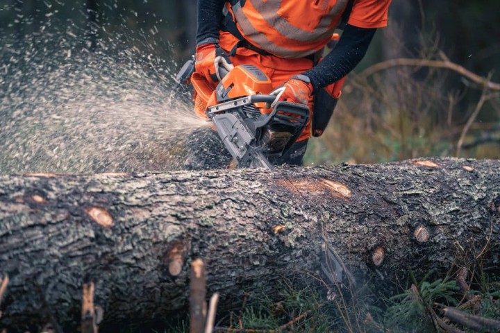 Pilarka Husqvarna 592 XP profesjonalna