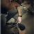 Latarka Armytek Zippy WR Extended Set Grey