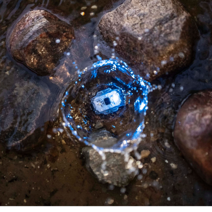 Latarka Armytek Crystal Pro UV Grey