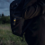 Latarka Armytek Prime C1 Pro White